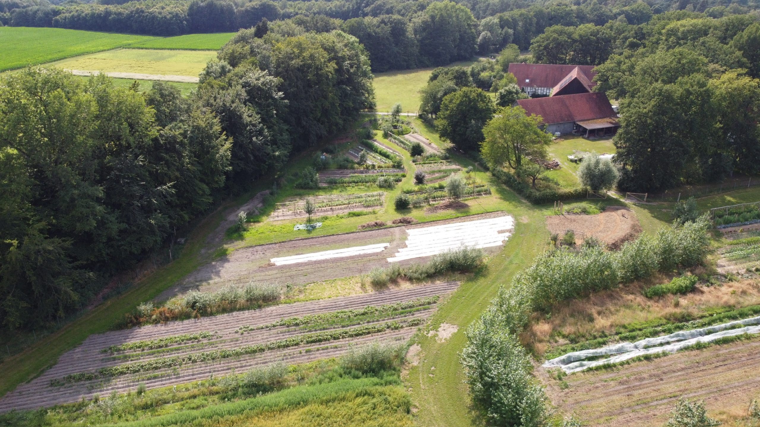 Crowd & Rüben Solawi aus der Vogelperspektive