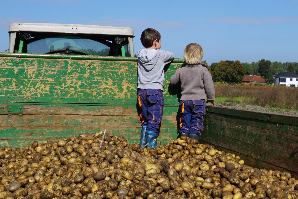 Kinder mit Kartoffeln